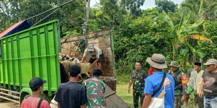 Kepala Staf Angkatan Darat (KSAD) Berikan Bantuan Hewan Ternak Di Rancapinang Cimanggu Pandeglang