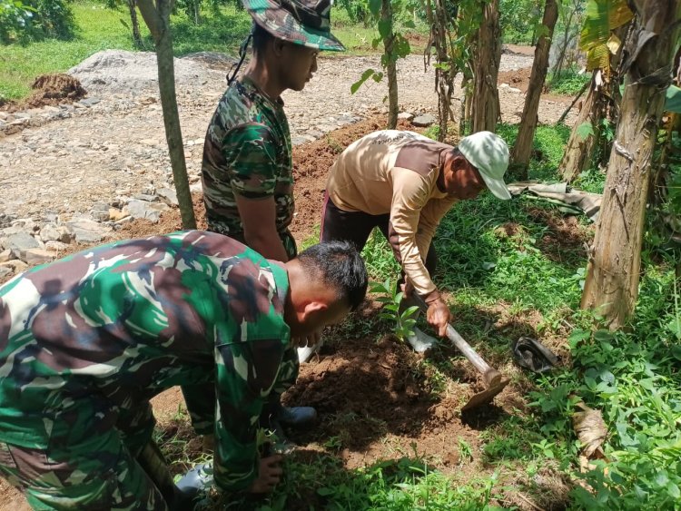 Satgas TMMD ke-126 Laksanakan Lanjutan Penanaman Pohon Jambu, Sirsak, dan Albasiah di Hari ke-21