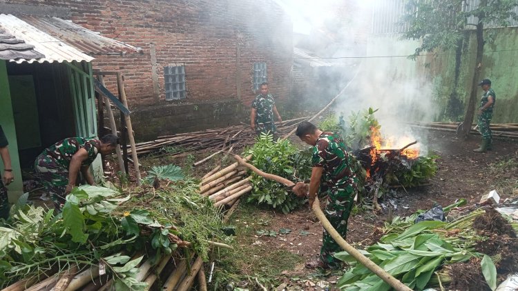Danramil 0103/Banjar Bersama Babinsa Laksanakan Pembersihan Lahan untuk Penyemaian Bibit dan Tanaman Obat
