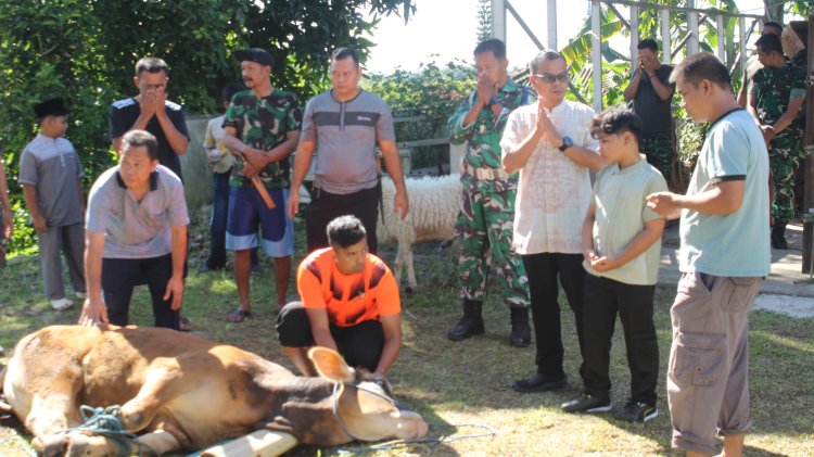 Kodim0601/Pandeglang,, Semangat Kebersamaan dan Kepedulian, Dandim 0601/Pandeglang Pimpin Penyembelihan Hewan Kurban Idul Adha 1447 H/2026 M