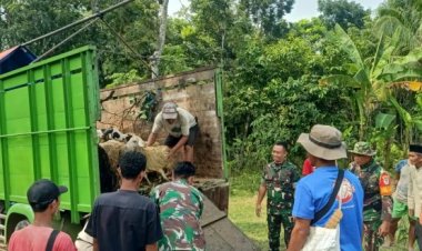 Kepala Staf Angkatan Darat (KSAD) Berikan Bantuan Hewan Ternak Di Rancapinang Cimanggu Pandeglang