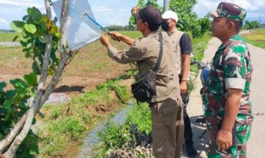 Anggota Koramil 0111/Pagelaran Bersama Satpol PP Dampingi Panwaslu Tertibkan APK yang melanggar PKPU 15 Tahun 2023