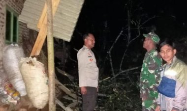Rumah Warga Rusak Tertimpa Pohon, Babinsa Koramil 0112/Jiput Datangi Tempat Kejadian