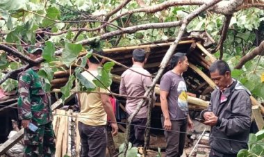 Sigap, Babinsa Koramil 0112/Jiput Datangi Rumah Warga Yang Tertimpa Pohon