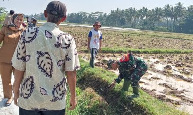 Koramil 0111/Pagelaran Dukung Gerakan Penanganan Dampak Fenomena Iklim di Desa Tegalpapak