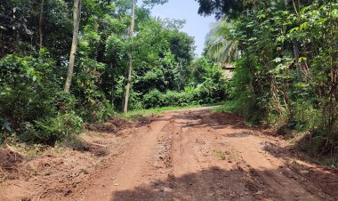 Satgas TMMD ke-126 Kodim 0601/Pandeglang Rampungkan Pembukaan Jalan Sepanjang 970 Meter di Hari ke-12 Pelaksanaan