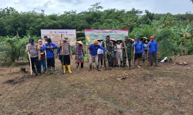 Danramil 0116/ Cikeusik Pimpin Acara Penanaman Jagung Serentak Kuartal IV di Lahan Garapan Bumdes Karya Bakti Desa Leuwibalang