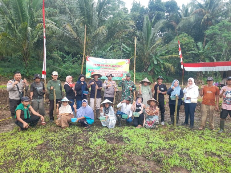 Koramil 0102/Cadasari Melaksanakan Kegiatan Komsos dan Penanaman Jagung Bersama Poktan Taman Jaya 2 Kecamatan Cadasari