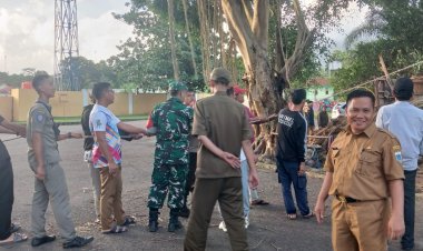 Tanggap Darurat Pohon Tumbang oleh Babinsa Koramil 0101/Pandeglang