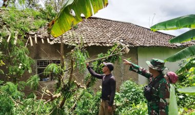 BABINSA KORAMIL 0105/MANDALAWANGI TINJAU LOKASI RUMAH ROBOH AKIBAT POHON TUMBANG DI DESA PARI
