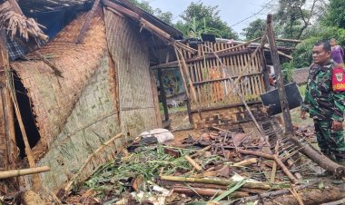 Sertu Eri Piatna Babinsa Koramil 0116/Cikeusik Monitoring Musibah Rumah Tertimpa Pohon Sawit di Desa Nanggala