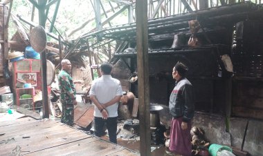 BABINSA KORAMIL 0105/MANDALAWANGI LAKSANAKAN MONITORING DAN PENANGANAN AWAL BENCANA POHON TUMBANG DI DESA SIRNAGALI