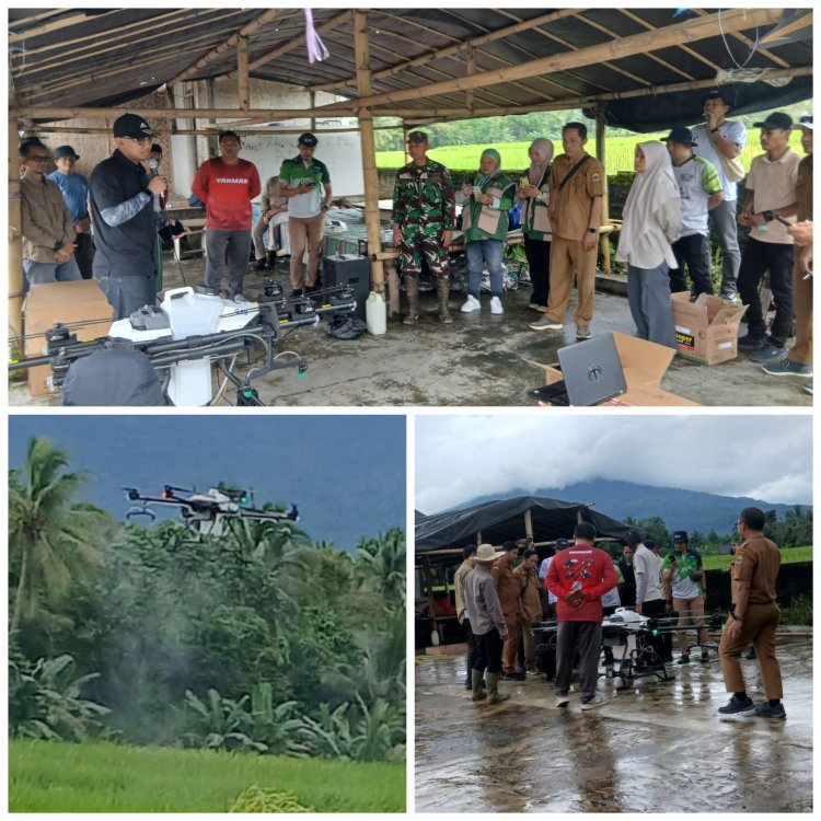 Serma Deden Wahyudin Babinsa Koramil 0104/Cimanuk Hadiri Pelatihan Alat Penyemprot Padi Menggunakan Drone Yanmar di Desa Gunungcupu