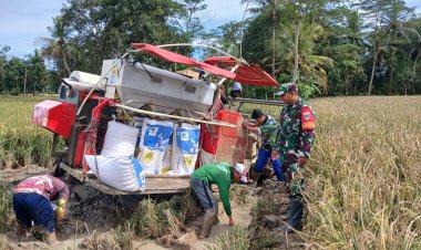 Serda Wasim Babinsa Koramil 0116/Cikeusik Dampingi Petani dalam Kegiatan Penyerapan Gabah di Desa Sumurbatu