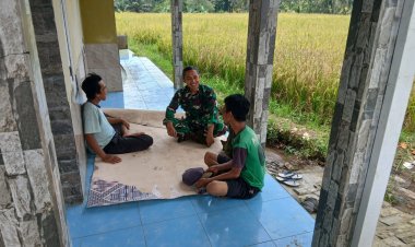 KOMANDO DISTRIK MILITER 0601/PANDEGLANG  KORAMIL 0104/CIMANUK  Babinsa Koramil 0104/Cimanuk Laksanakan Komsos Monitoring Hasil Panen Padi di Desa Sekong