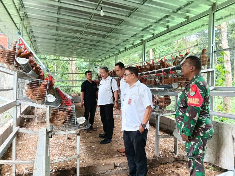 Babinsa Koramil 0102/Cadasari Dampingi Peninjauan Kandang Ayam Petelur Bumdes Desa Koroncong sebagai Upaya Penguatan Ketahanan Pangan