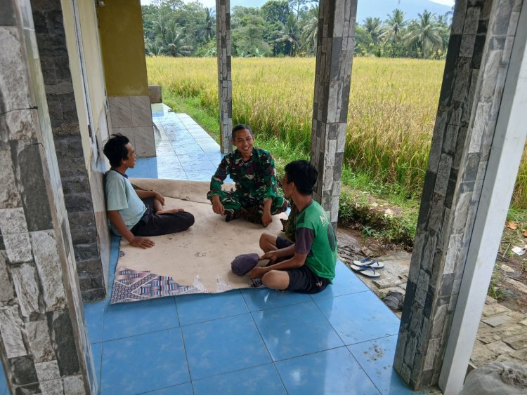KOMANDO DISTRIK MILITER 0601/PANDEGLANG  KORAMIL 0104/CIMANUK  Babinsa Koramil 0104/Cimanuk Laksanakan Komsos Monitoring Hasil Panen Padi di Desa Sekong