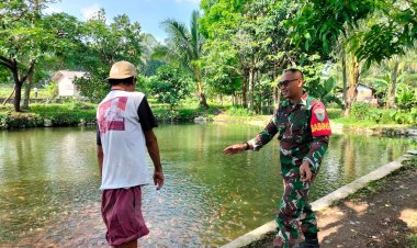 Koptu Imron Mawardi Babinsa Koramil 0104/Cimanuk Laksanakan Anjangsana ke Pembudidaya Ikan Nila di Desa Kadumadang