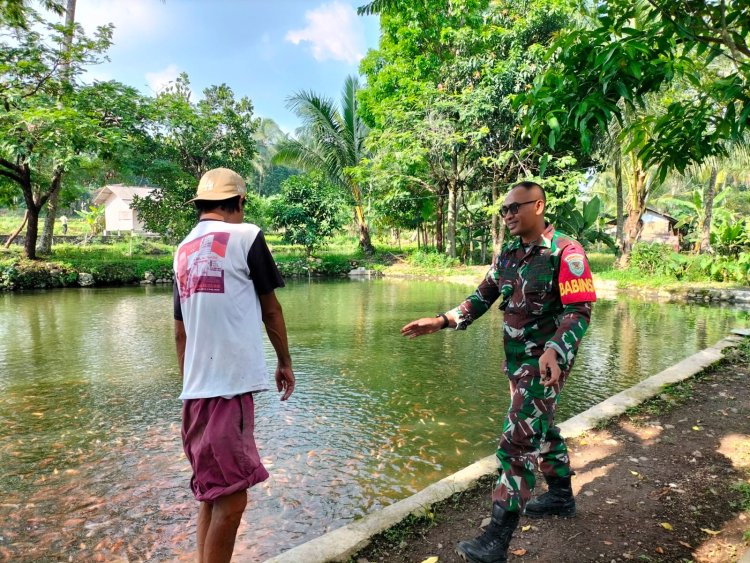 Koptu Imron Mawardi Babinsa Koramil 0104/Cimanuk Laksanakan Anjangsana ke Pembudidaya Ikan Nila di Desa Kadumadang