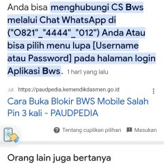 BWS Mobile Terblokir Hubungi Layanan WhatsApp BWS